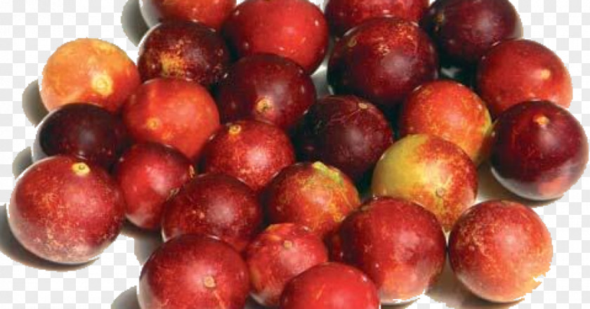 Camu Cranberry Peruvian Cuisine Food PNG