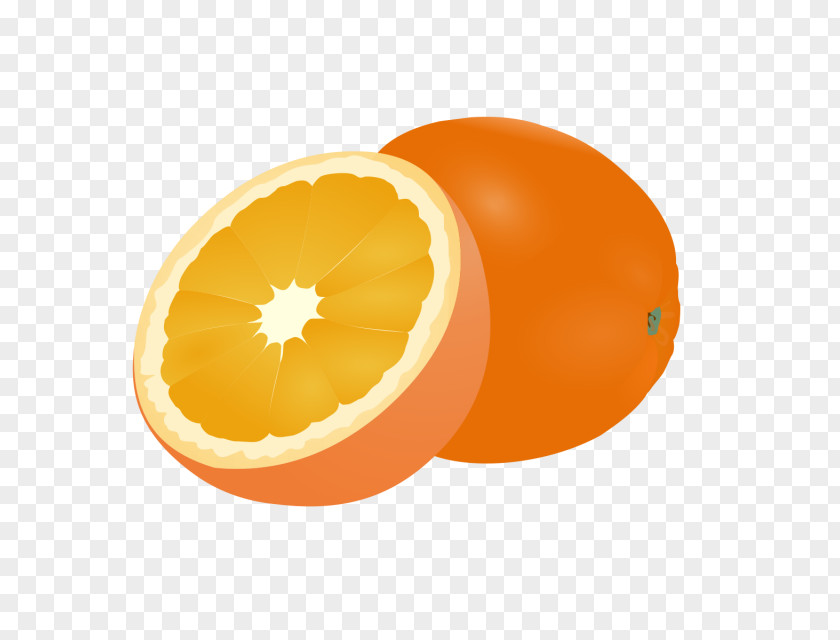 Grapefruit Clip Art Orange Openclipart PNG