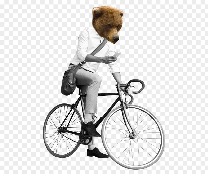 Motorbike Bears Bicycle Pedals Wheels Saddles Racing Frames PNG