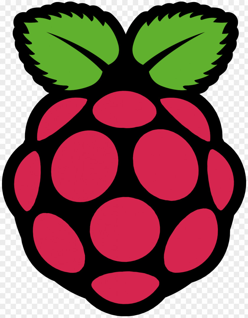 Flea Raspberry Pi 3 Raspbian Computer Kodi PNG