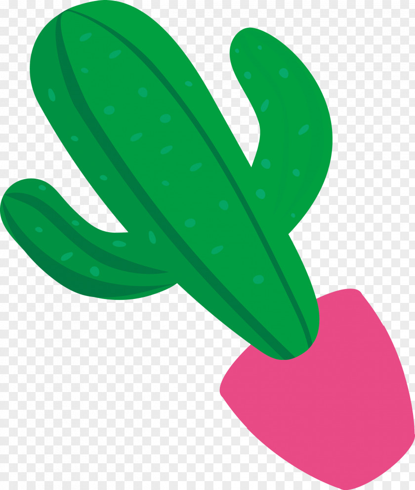 Mexico Element PNG