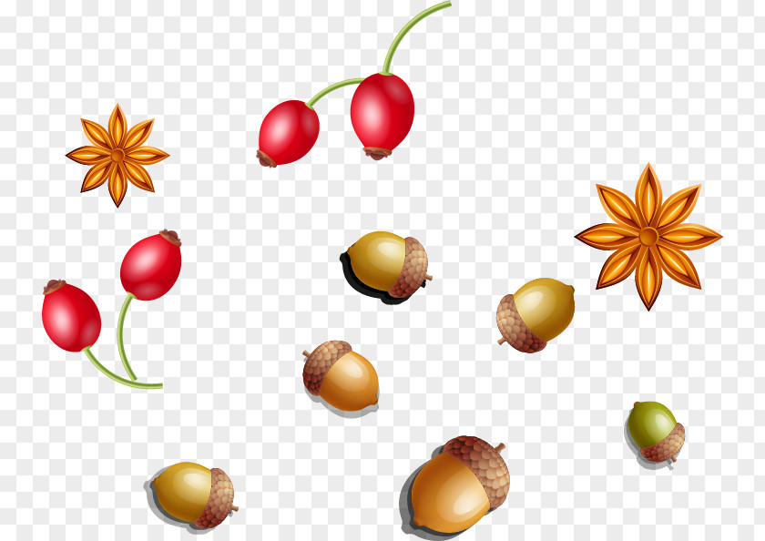 Mykolaiv Raion PNG Raion, Lviv Oblast Azerbaijan u0421u0442u043eu043bu044cu0441u043au043eu0435 u0433u043eu0440u043eu0434u0438u0449u0435, Autumn berries material Free dig clipart PNG