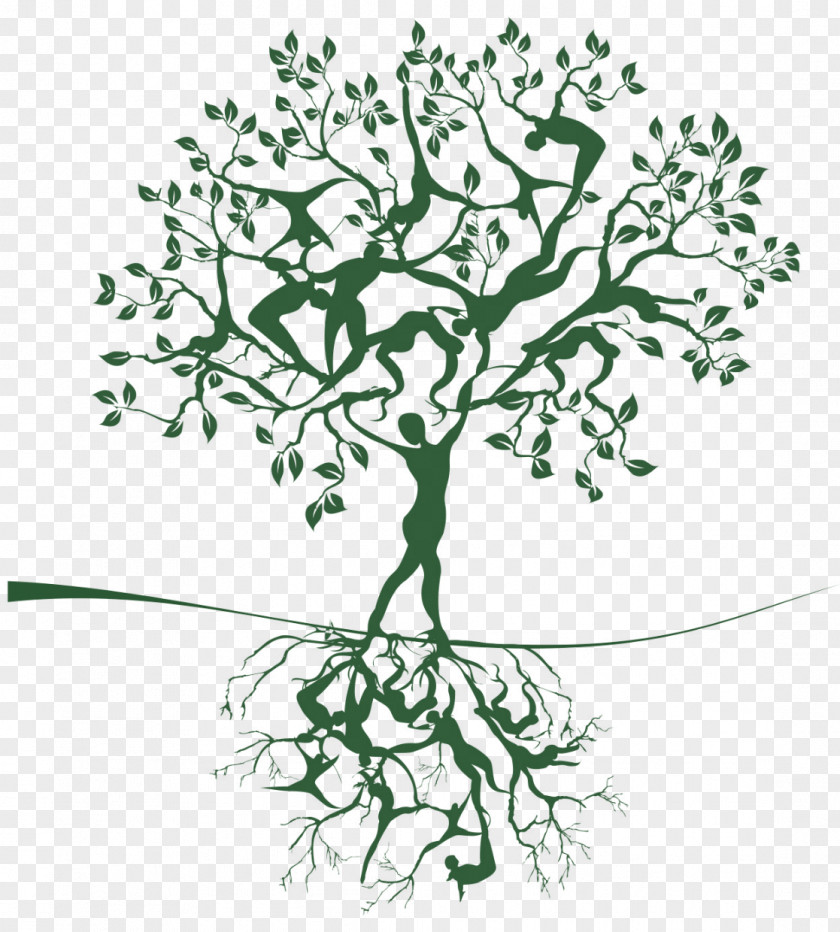 Tree Of Life Woman PNG