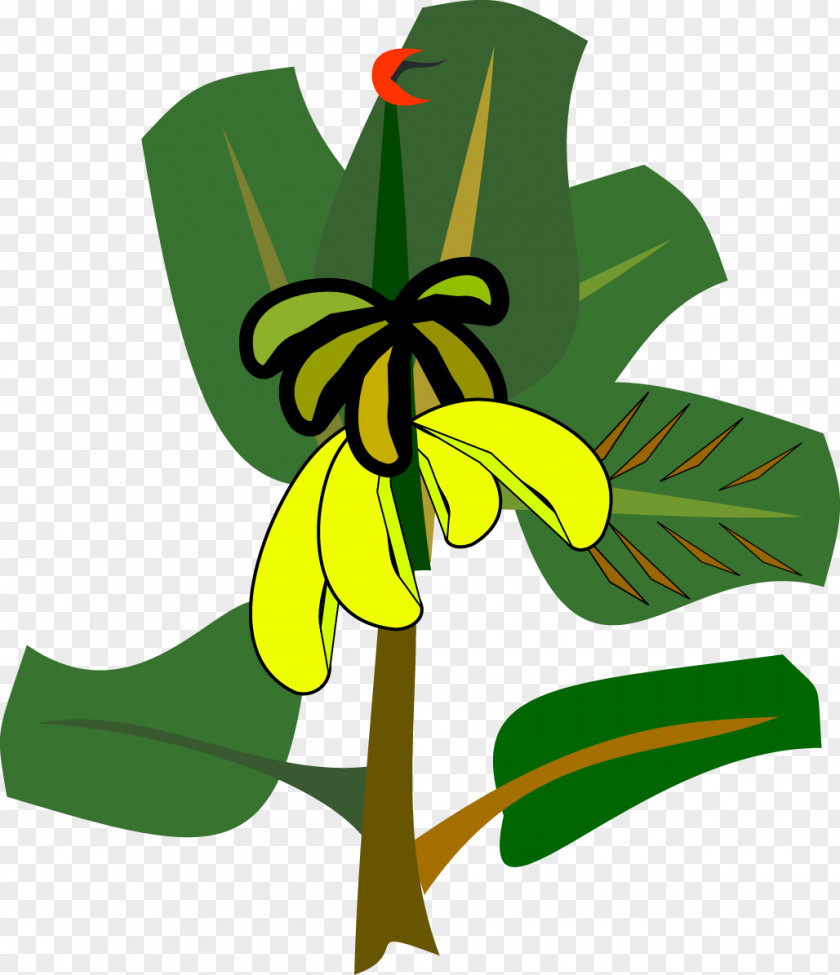 Vector Banana Leaf Clip Art PNG