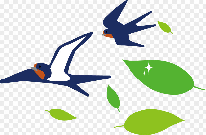 Barn Swallow Edible Bird's Nest Illustration PNG