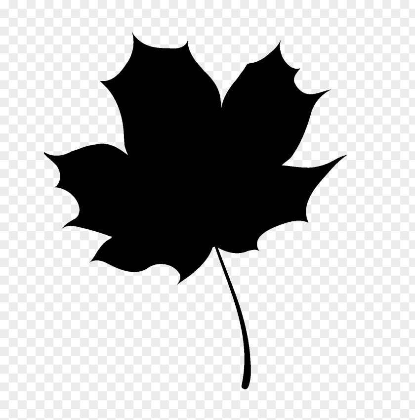 Clip Art Maple Leaf PNG