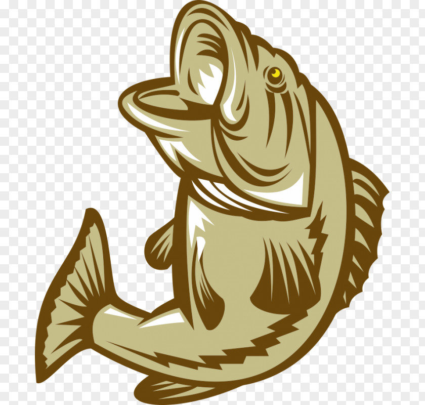 Fish Largemouth Bass PNG