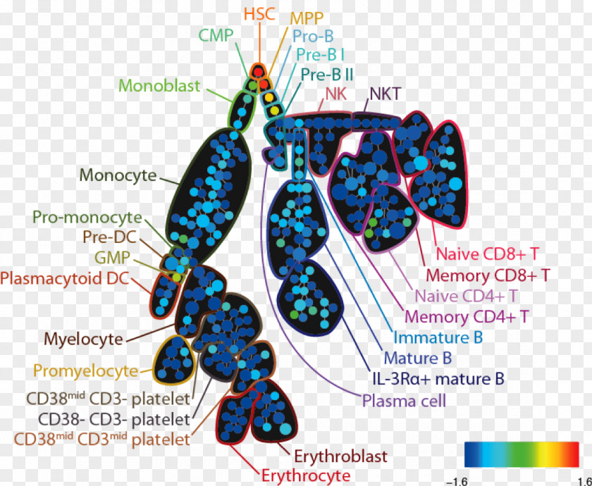 Flow Cytometry Bioinformatics Mass Spanning Tree Cell PNG