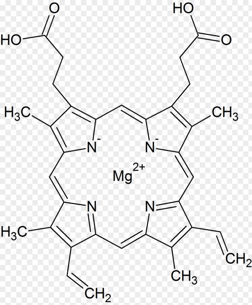 Magnesium Chlorophyll Porphyrin Green Hemoglobin Structure PNG