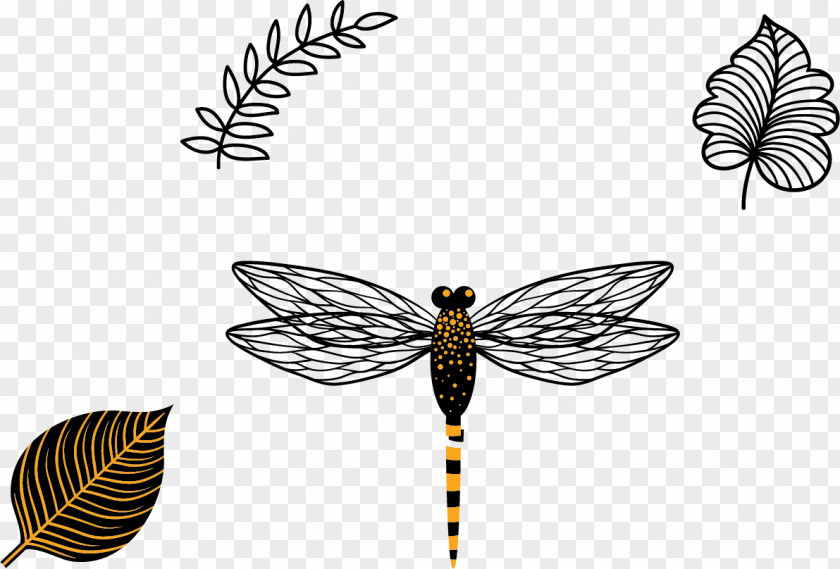 Vector Dragonfly Butterfly Insect Wing Black And White PNG