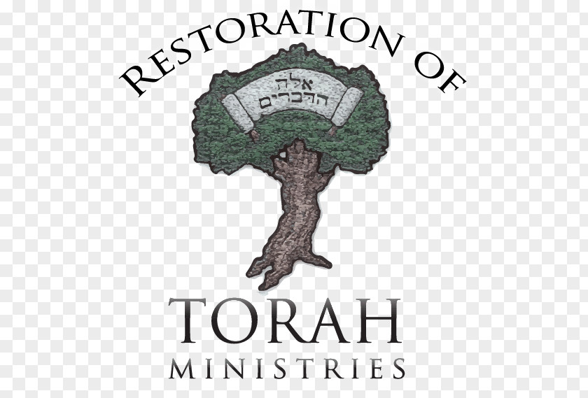 Bible Puzzles About Abraham Weekly Torah Portion Devarim Ki Tissa Re'eh PNG