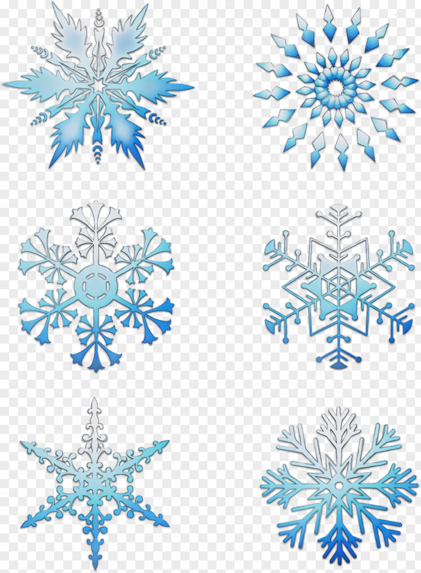 Colorado Spruce Symmetry Blue Pattern PNG