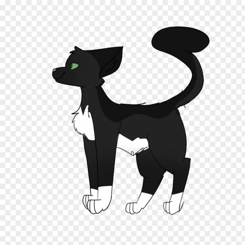 Finch Band Aussie Dog Whiskers Cat Clip Art Illustration PNG