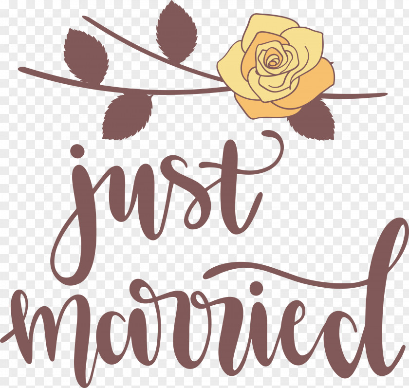 Just Married Wedding PNG