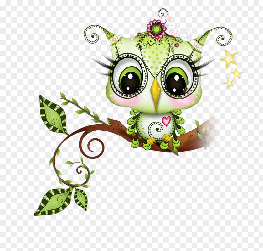 Owl Little Bird Painting Drawing PNG
