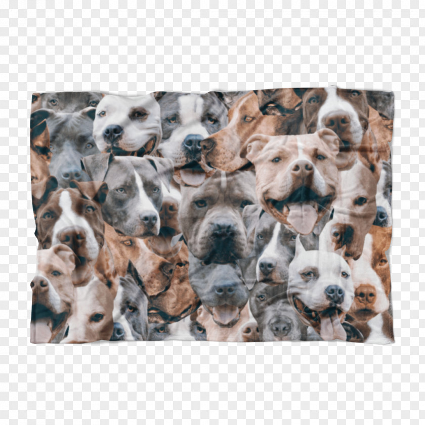 Pitbull Dog Breed Puppy Canidae Snout PNG