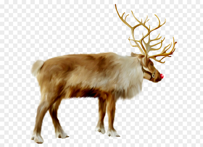 Reindeer Santa Claus Christmas Ded Moroz Clip Art PNG