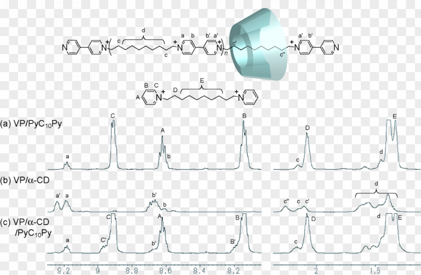 Supramolecular Chemistry Cyclodextrin Viologen Nuclear Magnetic Resonance Hydrogel PNG