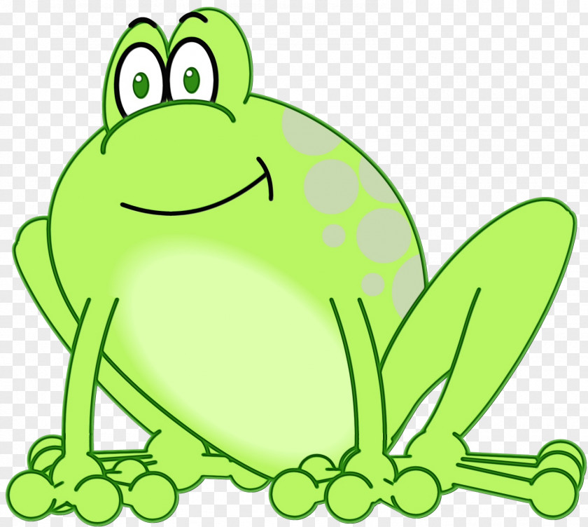 Cartoon Tree Frog Green Hyla True Clip Art PNG