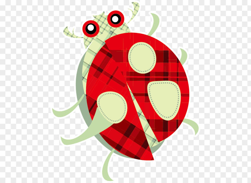 Ladybug Cartoon Illustration PNG