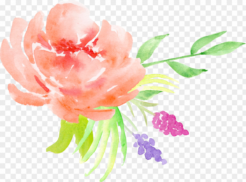 Orange Roses Decorative Pattern Centifolia Watercolor Painting Flower Floral Design PNG