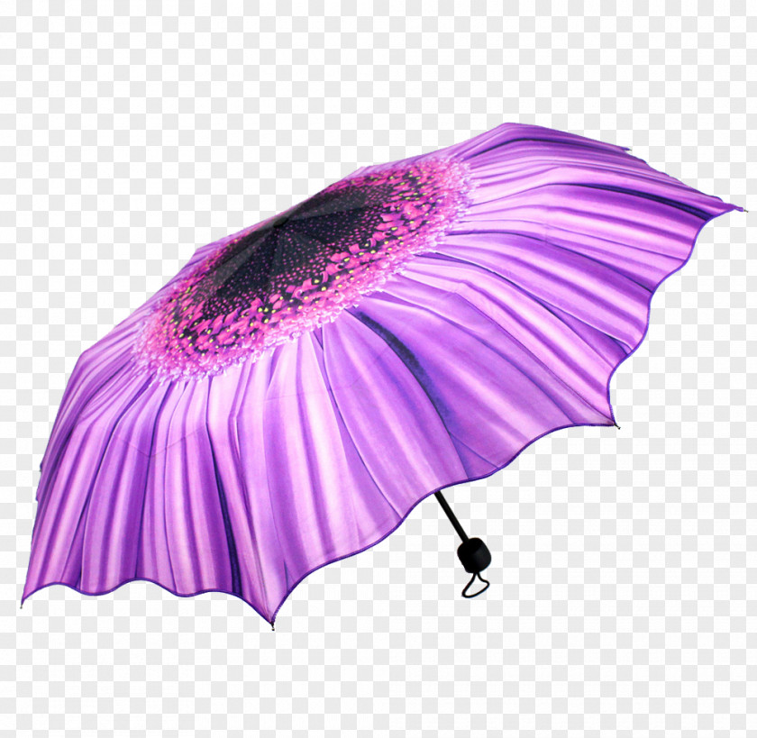 Personalized UV Umbrella Sunscreen Ultraviolet PNG