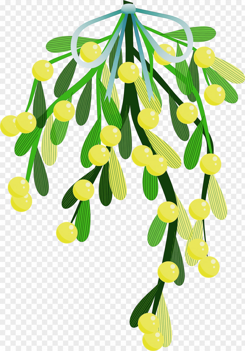 Plant Flower Leaf Tree Stem PNG