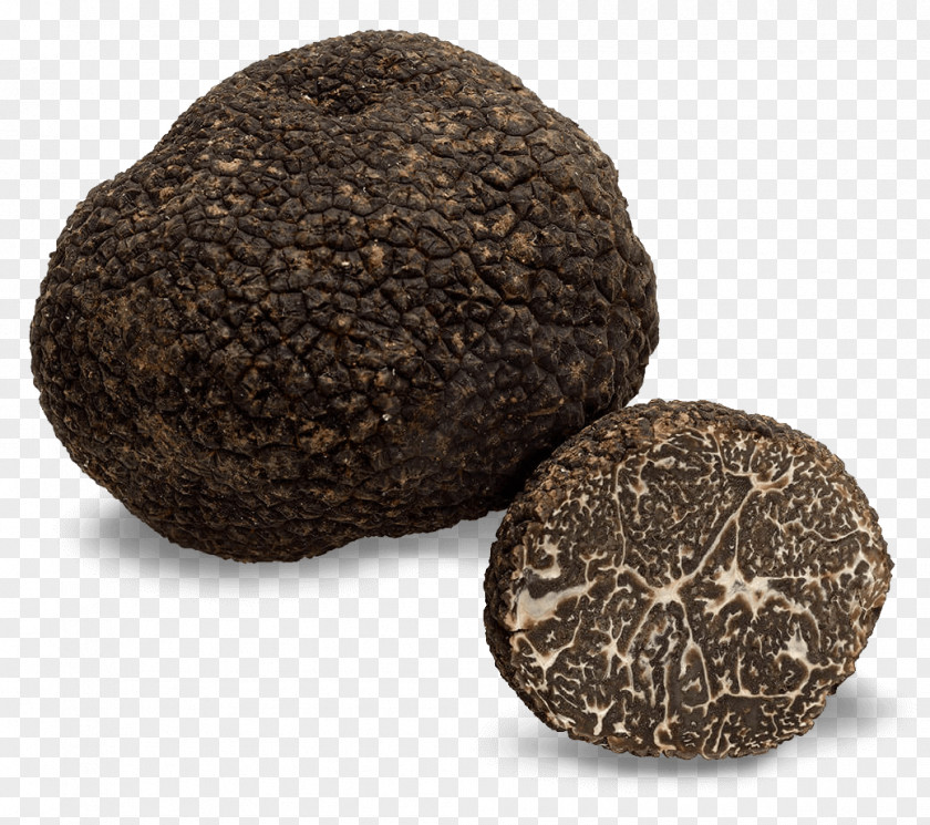 Trufas Edible Mushroom Chocolate Truffle Périgord Black Fungus PNG