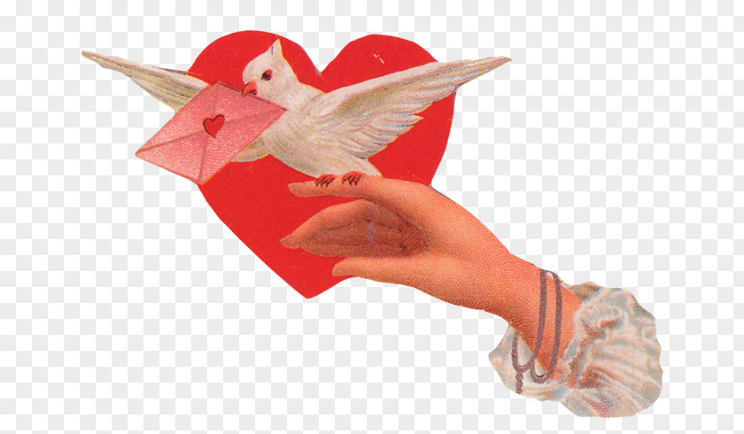 Valentine's Day Love God Lipog Rose PNG