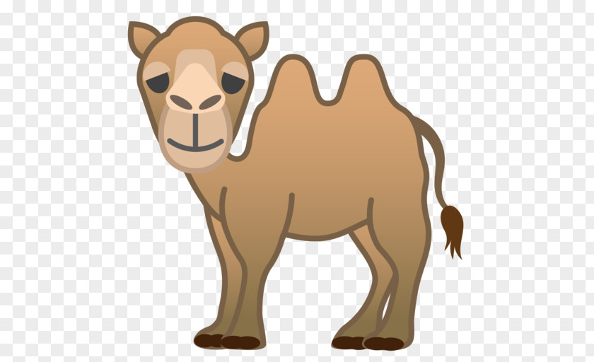 Bactrian Dromedary Camel Emoji Horse Noto Fonts PNG