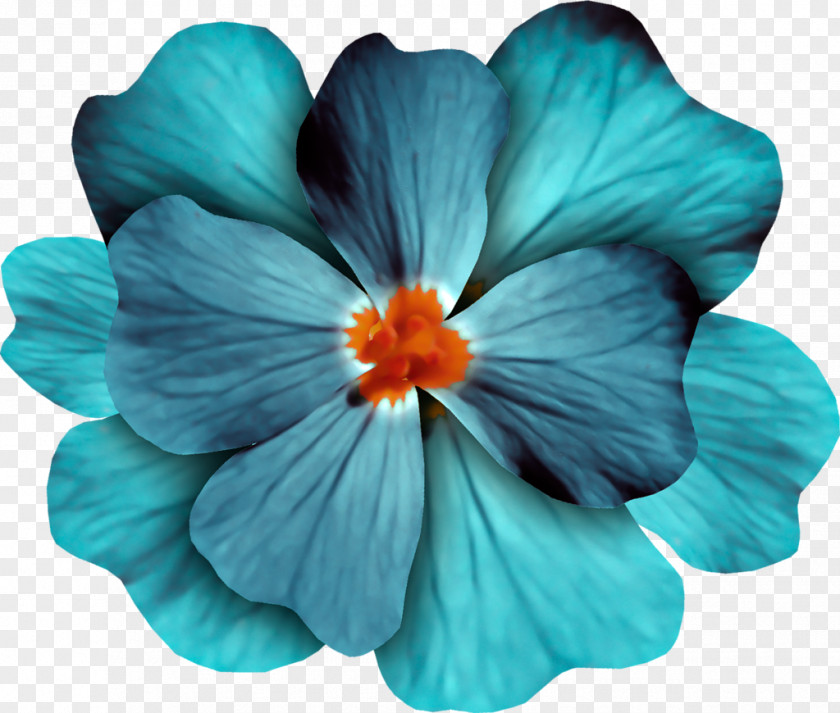 Flower Blue Purple PNG