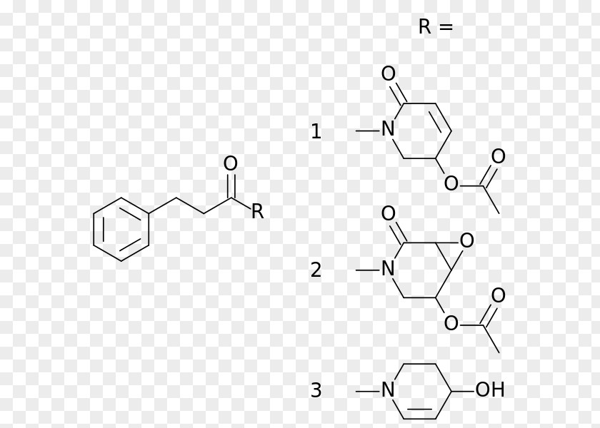 Plant Kava Pyridine Alkaloids Pipermethystine PNG