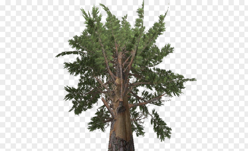 Tree Farming Simulator 17 Larch Pine Spruce PNG