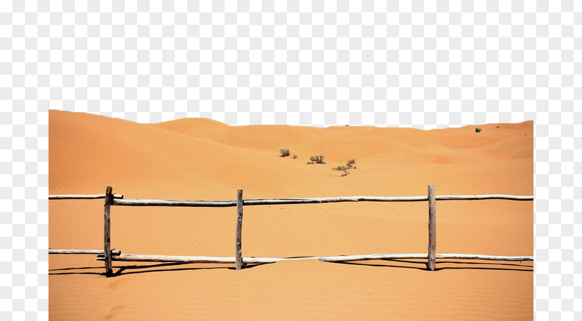 Yellow Desert Landscape Gobi PNG