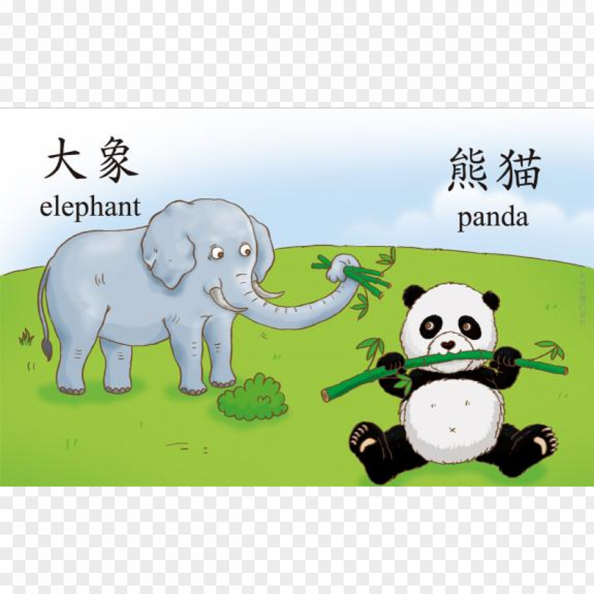 Chinese Child Indian Elephant Elephantidae Material Cartoon PNG
