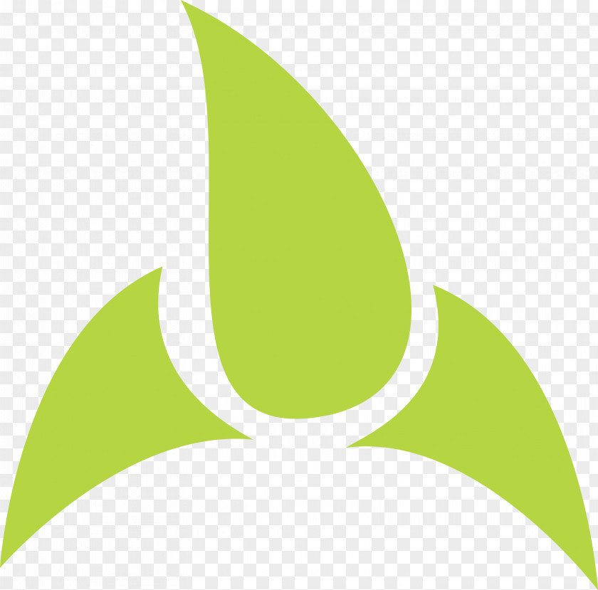 Leaf Pattern Alpana PNG