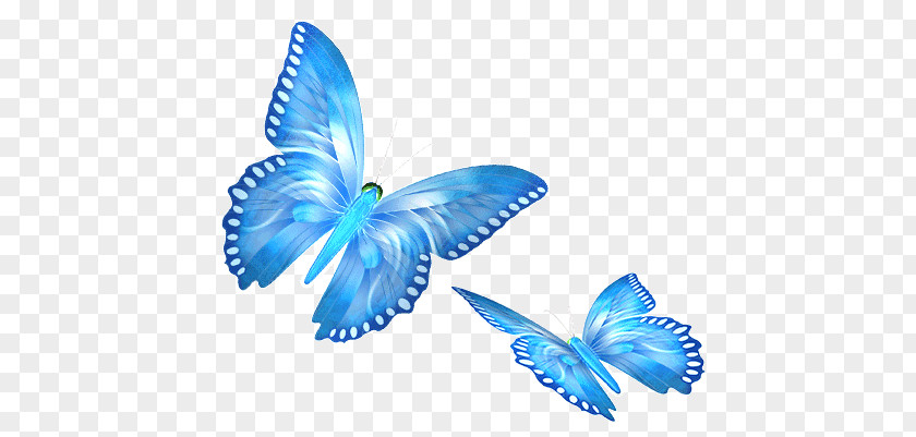 Animaatio Butterflies And Moths Digital Image Clip Art PNG