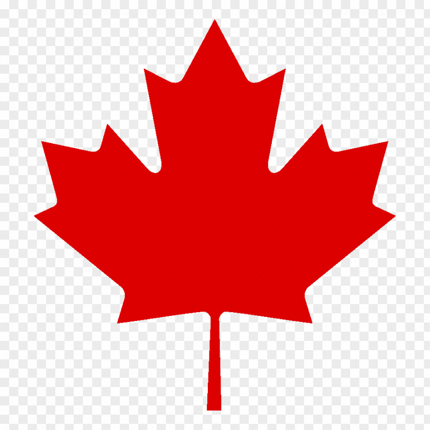 Canada Flag Of Maple Leaf Clip Art PNG