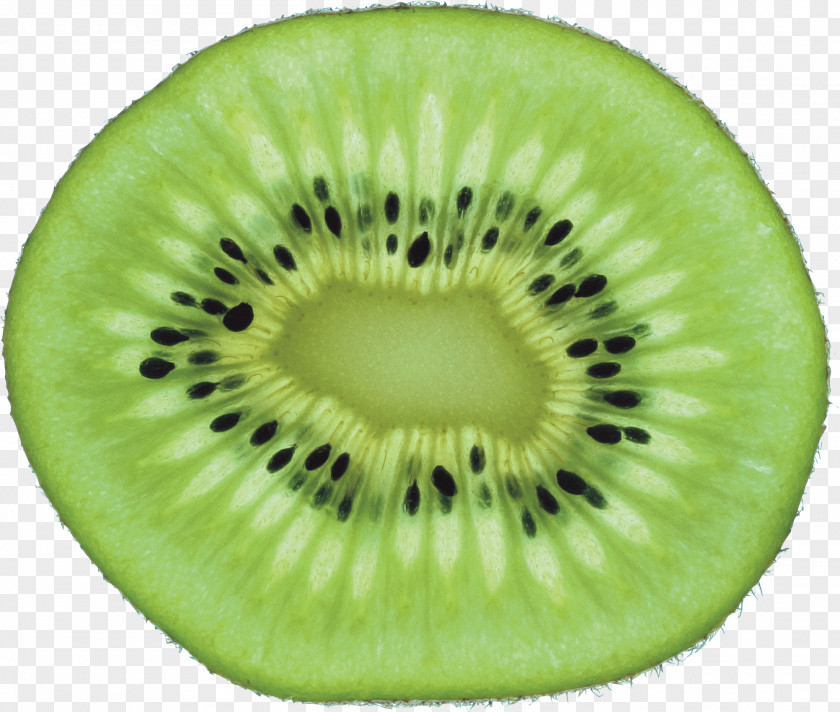 Green Cutted Kiwi Image Kiwifruit Clip Art PNG