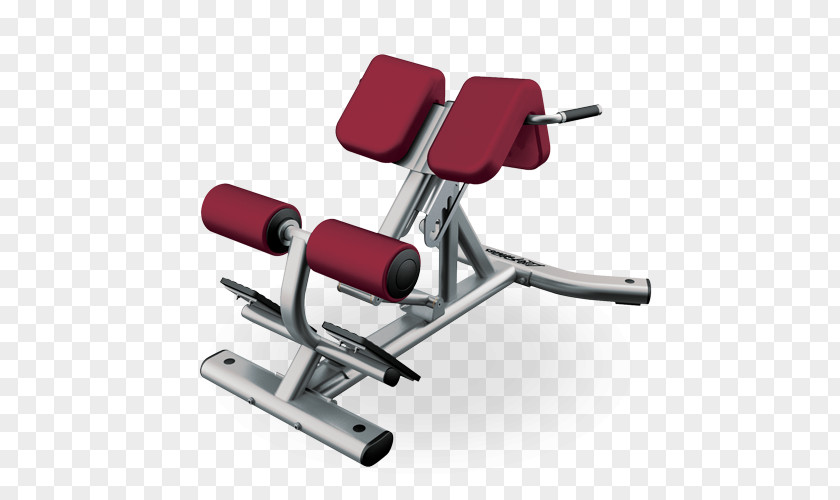 Hyperextension Bench Press Roman Chair Exercise Equipment PNG