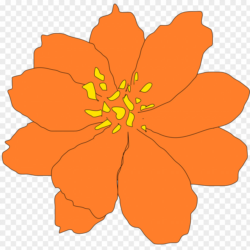 Marigold Flower Clip Art PNG