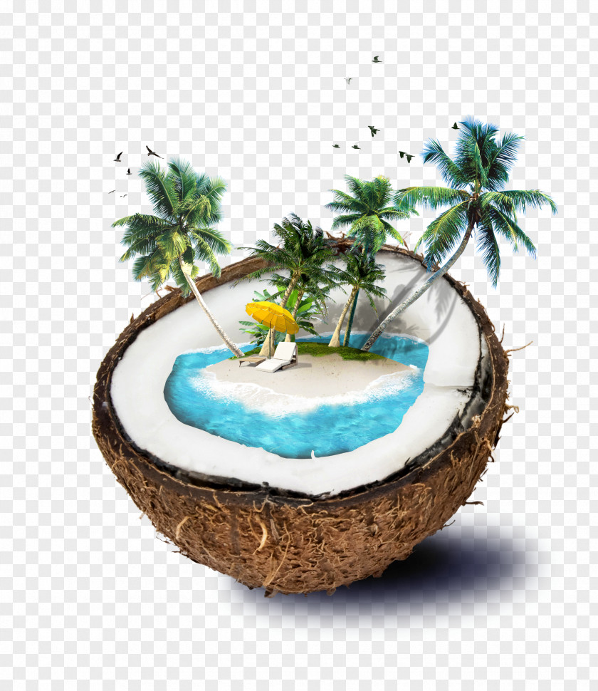 Shading Borders,Shading Template Download,Shading Material Download Coconut Water Travel PNG