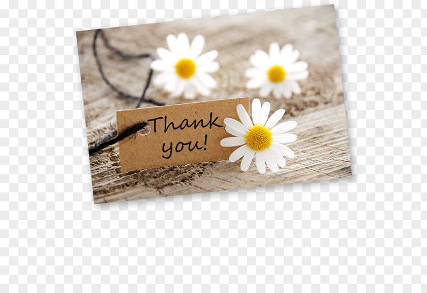 Thank You Floral YouTube Flower Desktop Wallpaper Royalty-free Wedding PNG