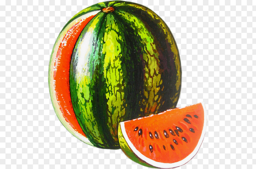 Melon Watermelon Clip Art PNG