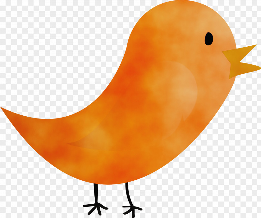 Orange PNG