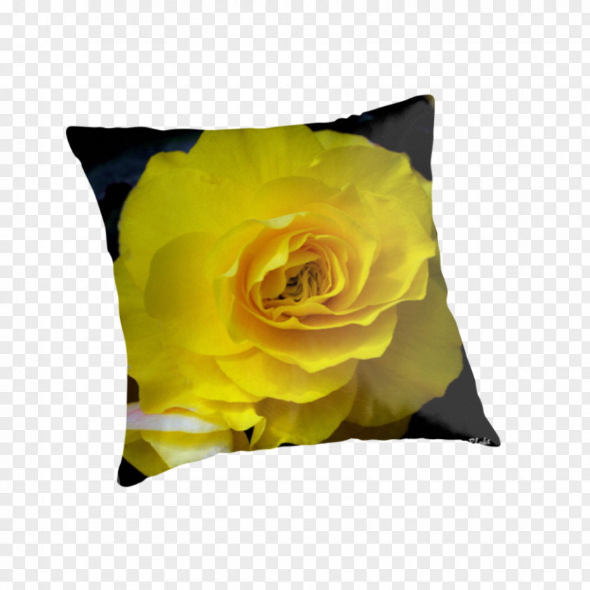 Pillow Throw Pillows Cushion Rose Family PNG