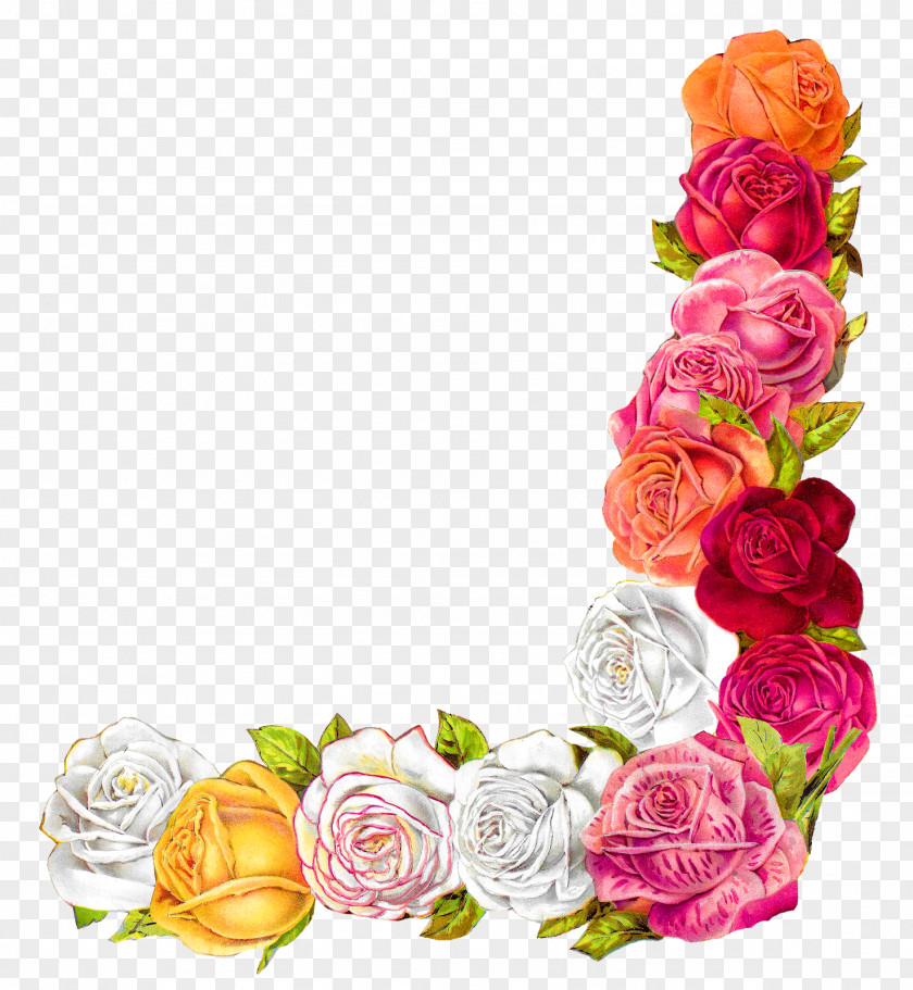 Rose Garden Roses Floral Design Shabby Chic Clip Art PNG