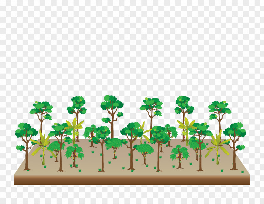 Tree Agroforestry Graphic Design Apuntes De Clase Del Curso Corto: Sistemas Agroforestales PNG
