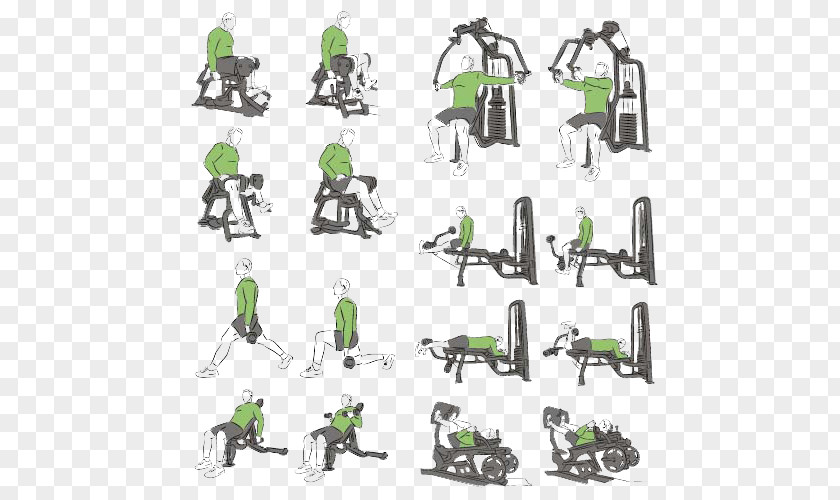 Vector Fitness Bodybuilding Stock Photography Physical Exercise Illustration PNG