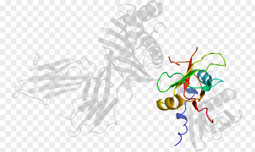 Drawing Line Art /m/02csf Clip PNG